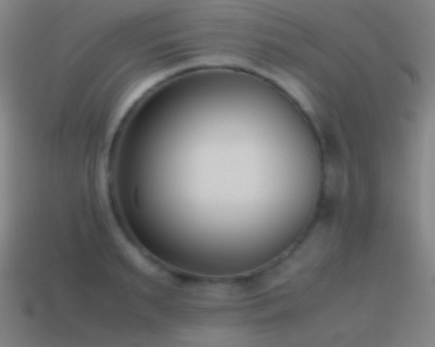 X0000114410895200910161204