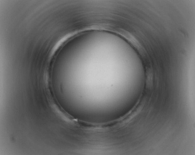 X0000114410896200910161204