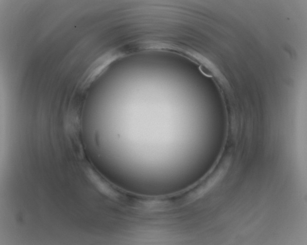 X0000114410897200910161204
