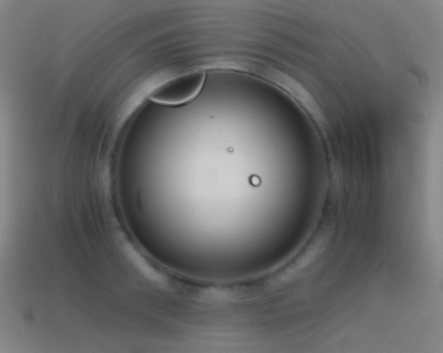 X0000114410898200910161204