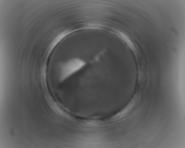 X0000114410899200910161204