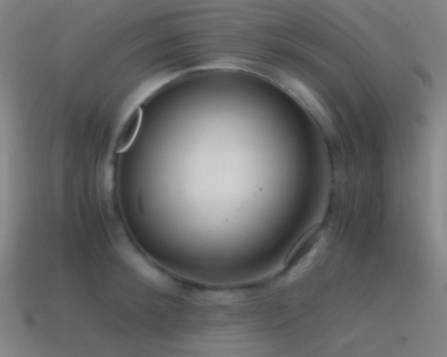 X0000114410900200910161204