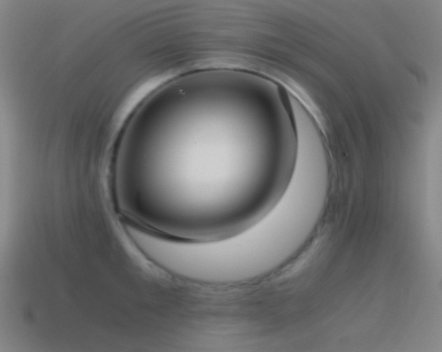 X0000114410901200910161204