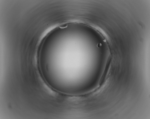 X0000114410902200910161204
