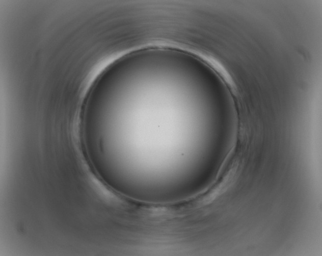 X0000114410903200910161204