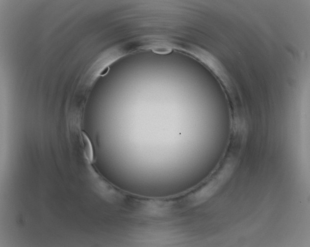 X0000114410905200910161204