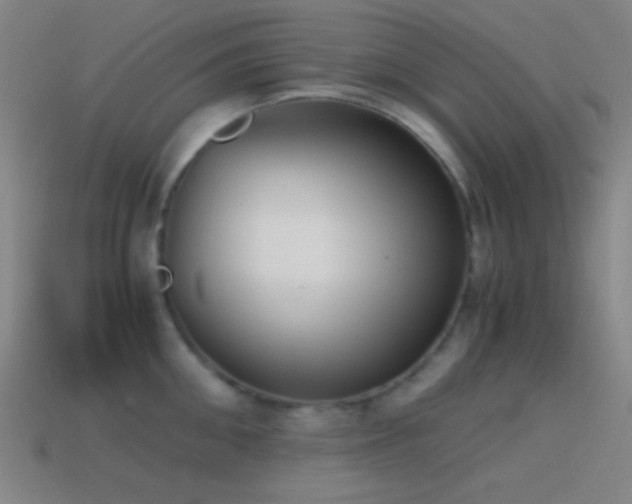 X0000114410906200910161204