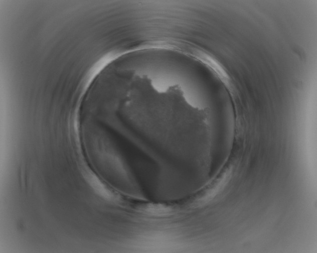 X0000114410907200910161204