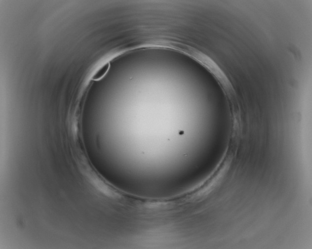 X0000114410908200910161204