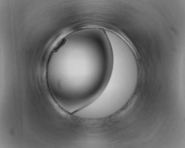 X0000114410909200910161204