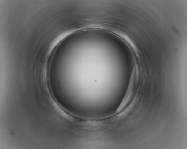 X0000114410910200910161204