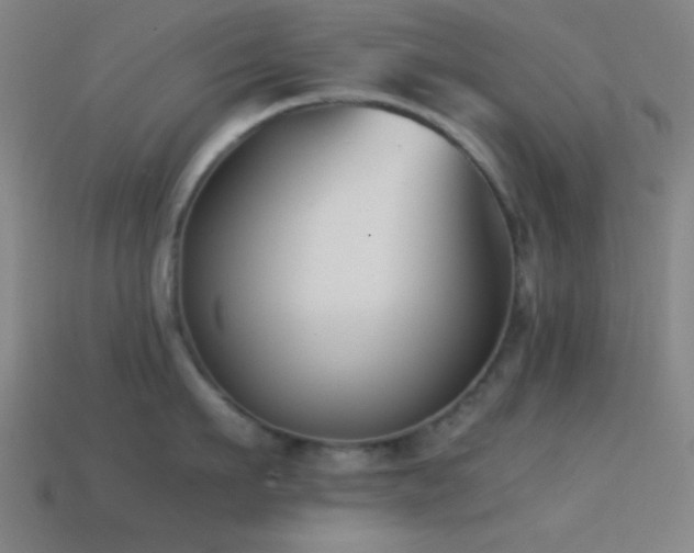 X0000114410911200910161204