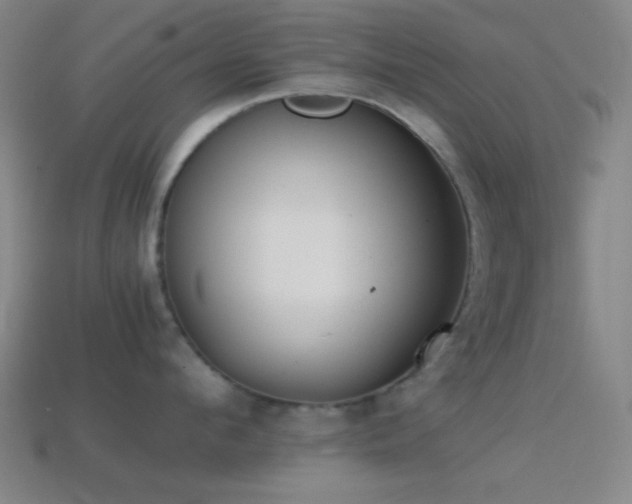 X0000114410912200910161204