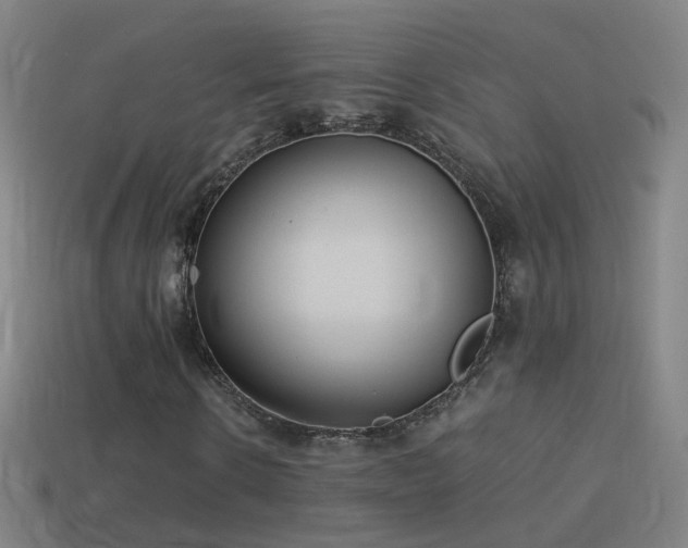 X0000114410914200910161203