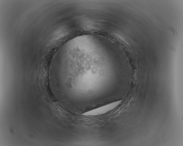X0000114410917200910161203