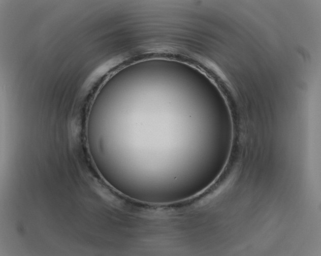 X0000114410922200910161203