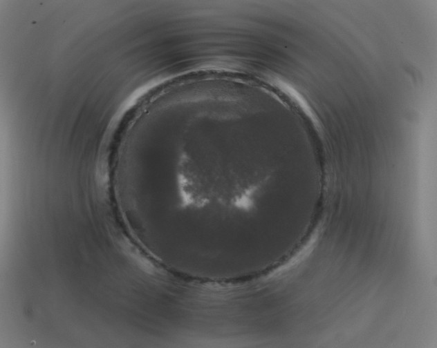 X0000114410923200910161203