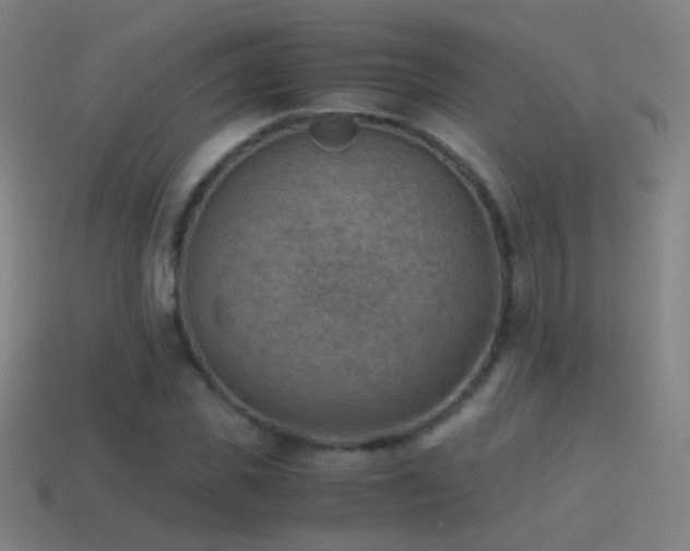 X0000114410925200910161203