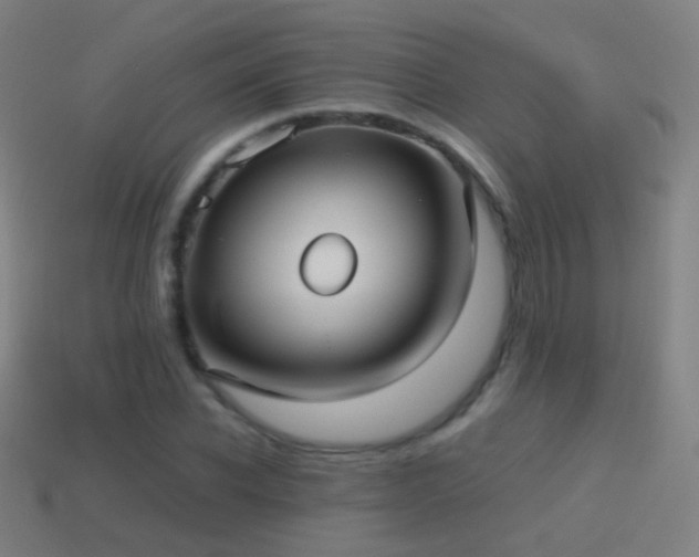 X0000114410926200910161203