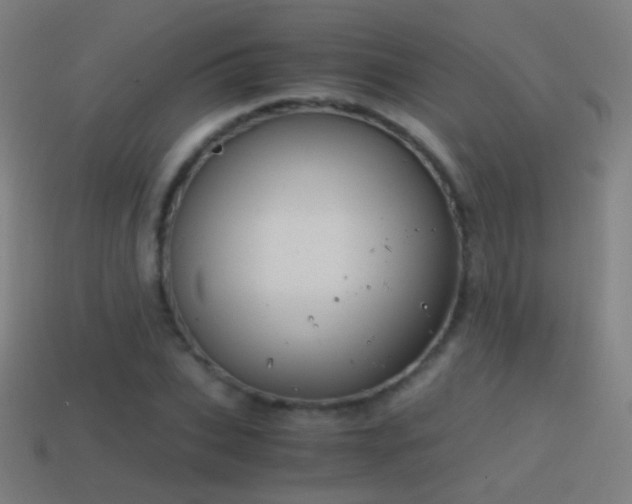 X0000114410927200910161203