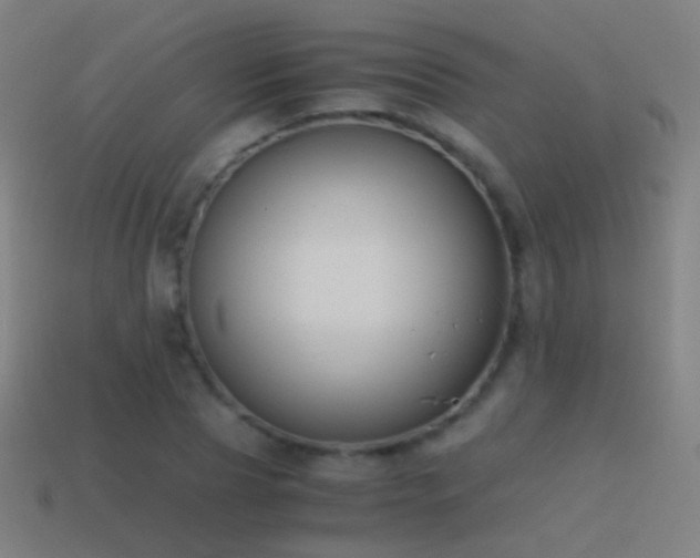 X0000114410929200910161203