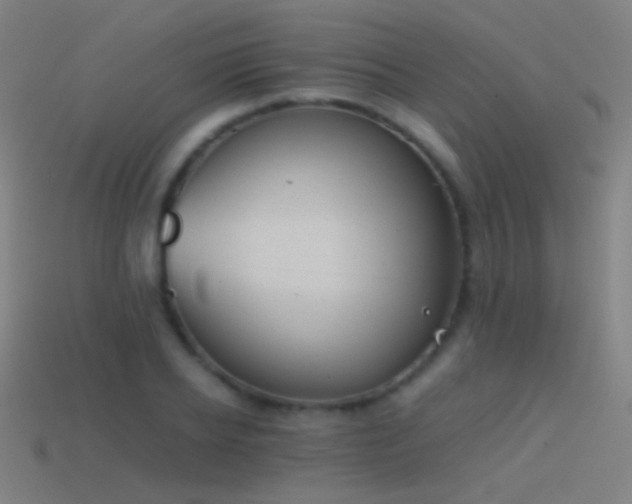 X0000114410934200910161203