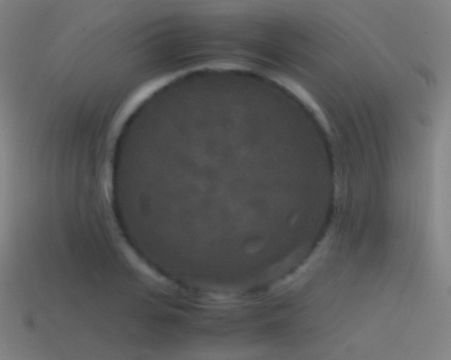X0000114410935200910161203