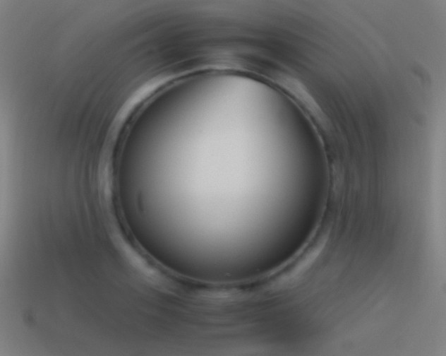 X0000114410939200910161203