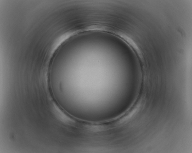 X0000114410941200910161203
