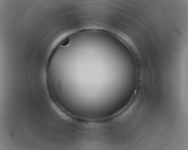 X0000114410942200910161203