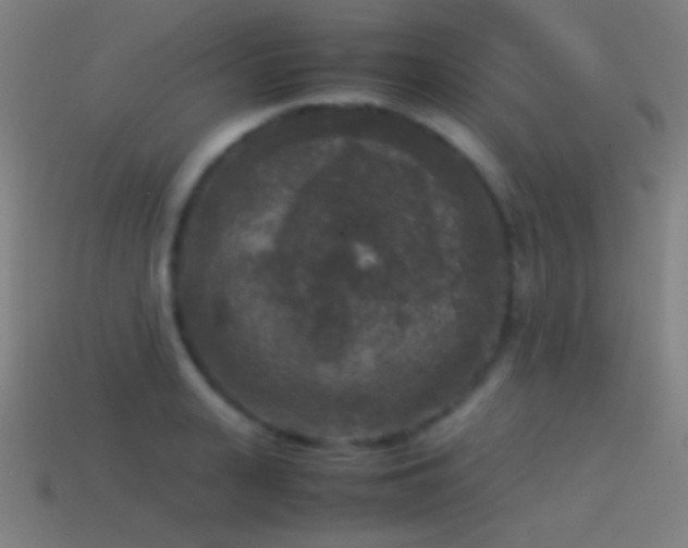 X0000114410943200910161203