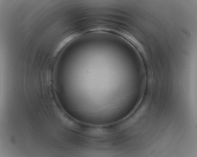 X0000114410945200910161203