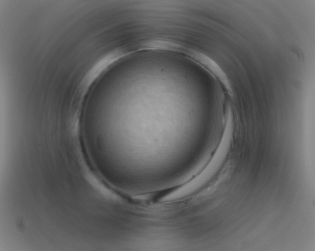 X0000114410946200910161203