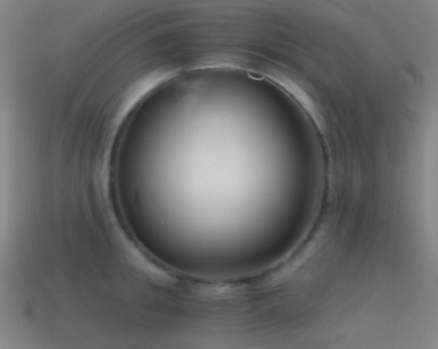 X0000114410949200910161203