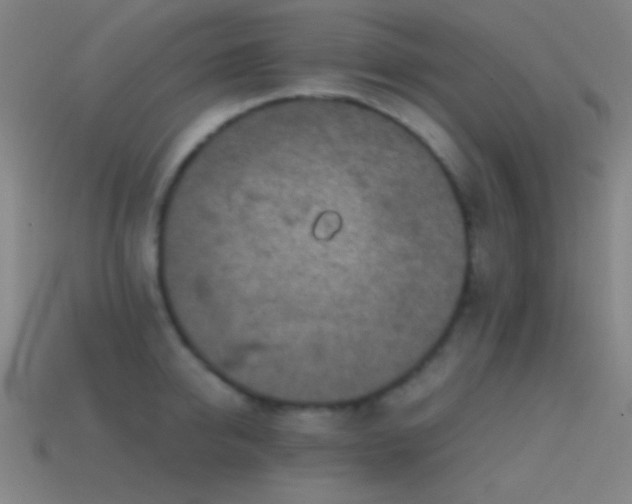 X0000114410950200910161204