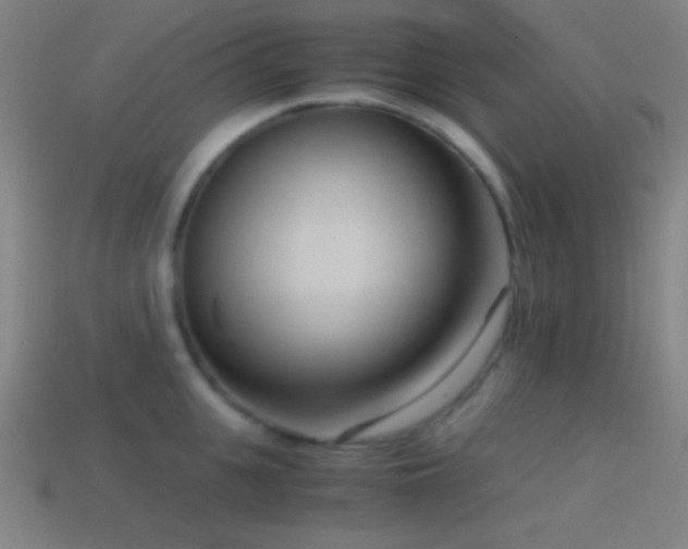 X0000114410951200910161204
