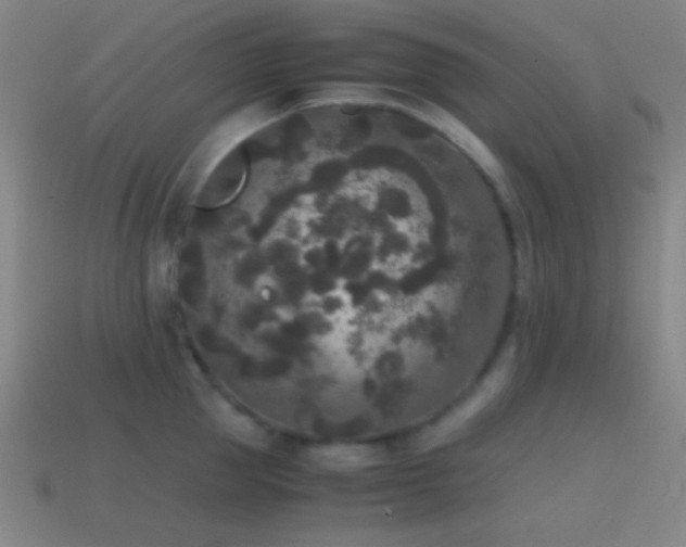 X0000114410953200910161204