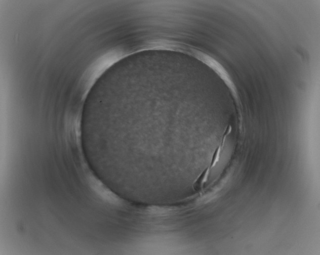 X0000114410954200910161204