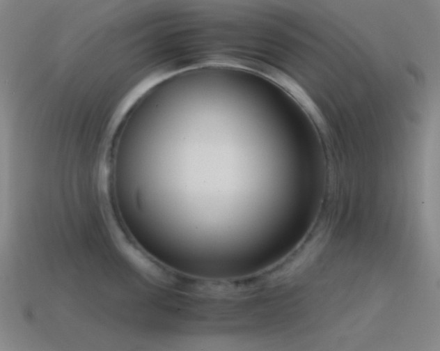 X0000114410955200910161204