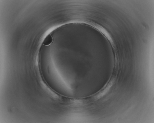 X0000114410958200910161204