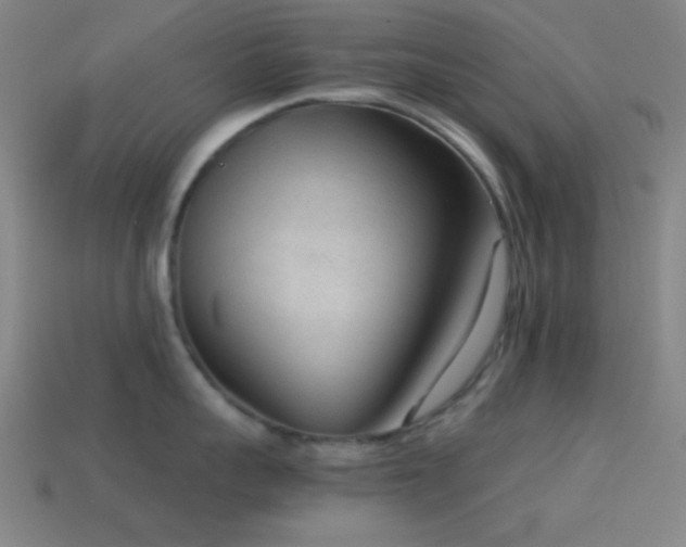 X0000114410959200910161204