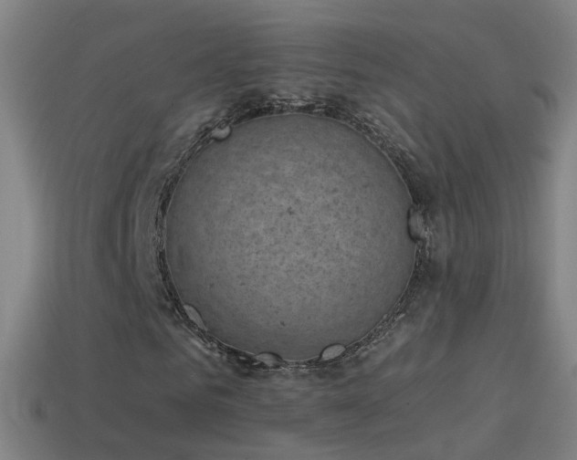 X0000114410961200910161203