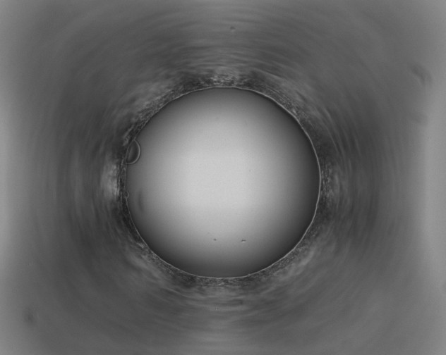 X0000114410962200910161203