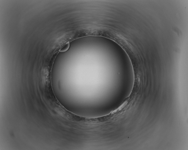 X0000114410964200910161203