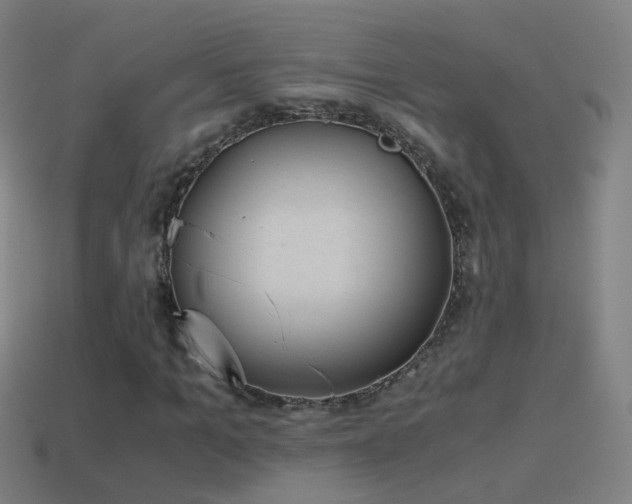 X0000114410965200910161203