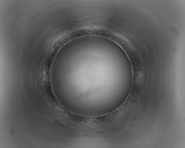 X0000114410966200910161203