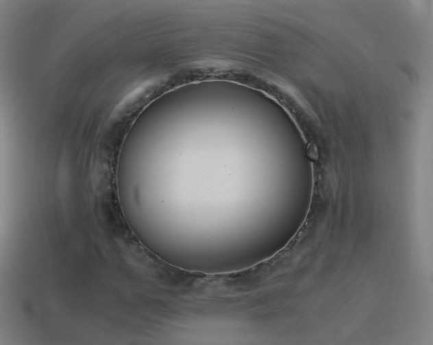 X0000114410967200910161203