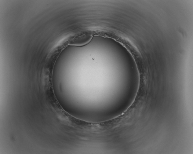 X0000114410968200910161203