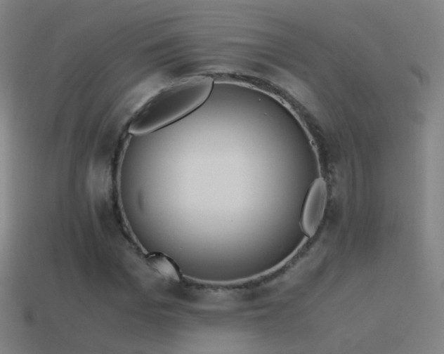 X0000114410969200910161203