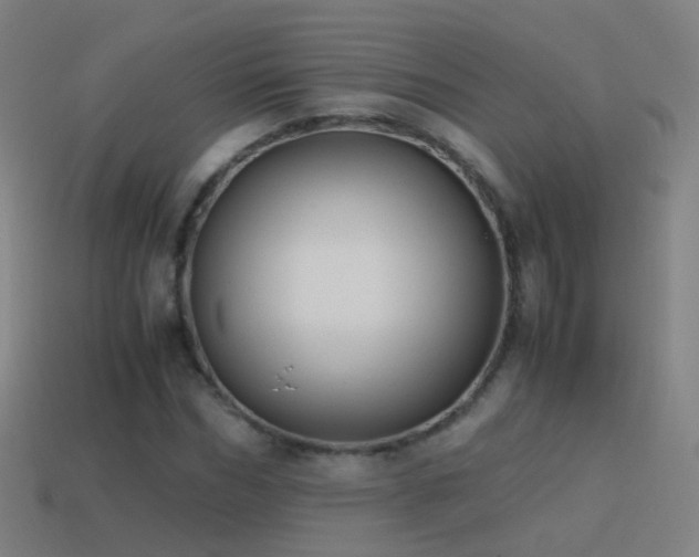 X0000114410970200910161203